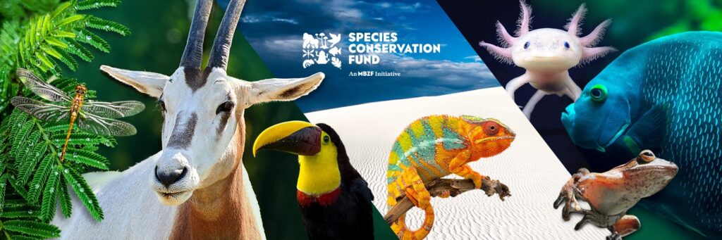 Mohamed bin Zayed Species Conservation Fund - social media header.