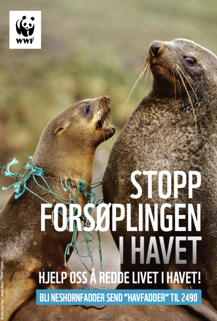 Two seals together, the one on the left has plastic netting around its neck. WWF Norway logo at the top left. Stopp Forsoplingen I Havet.