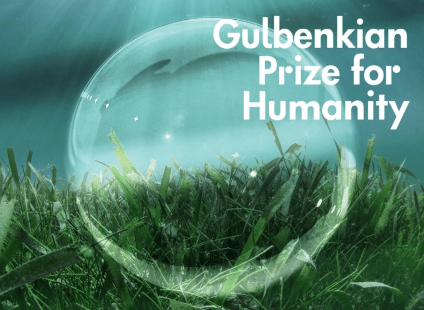 Gulbenkian Prize for Humanity. Text against a transparent bubble in front of green grass and mist.